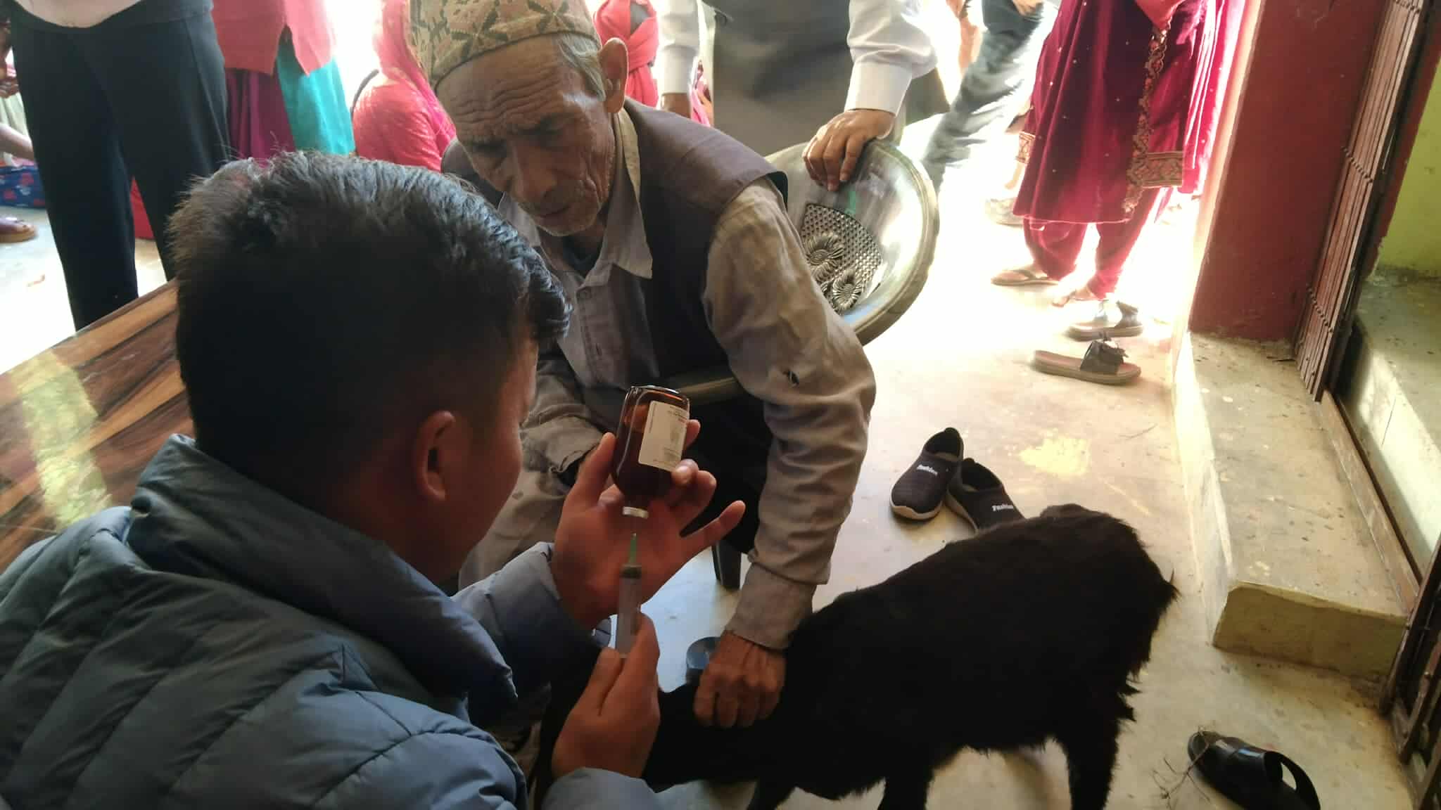 ऐरावतीका ५ वटा वडामा नि:शुल्क पशु स्वास्थ्य शिविर सम्पन्न