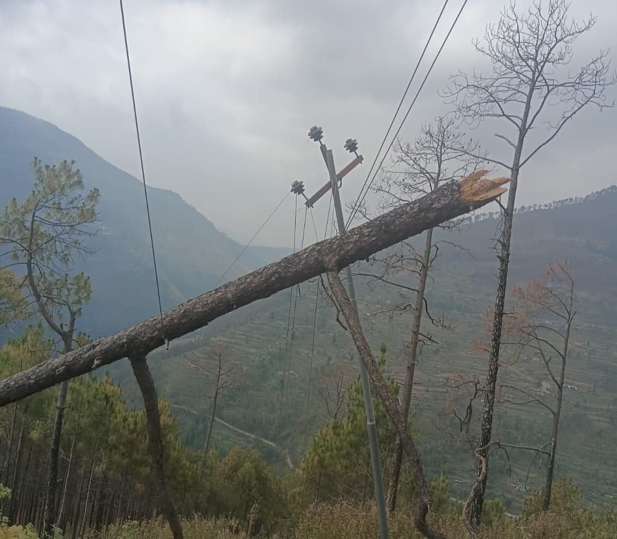 प्यूठानको नौबहिनीमा हावाहुरीका कारण विद्युत सेवा दुई दिनदेखि अवरूद्भ