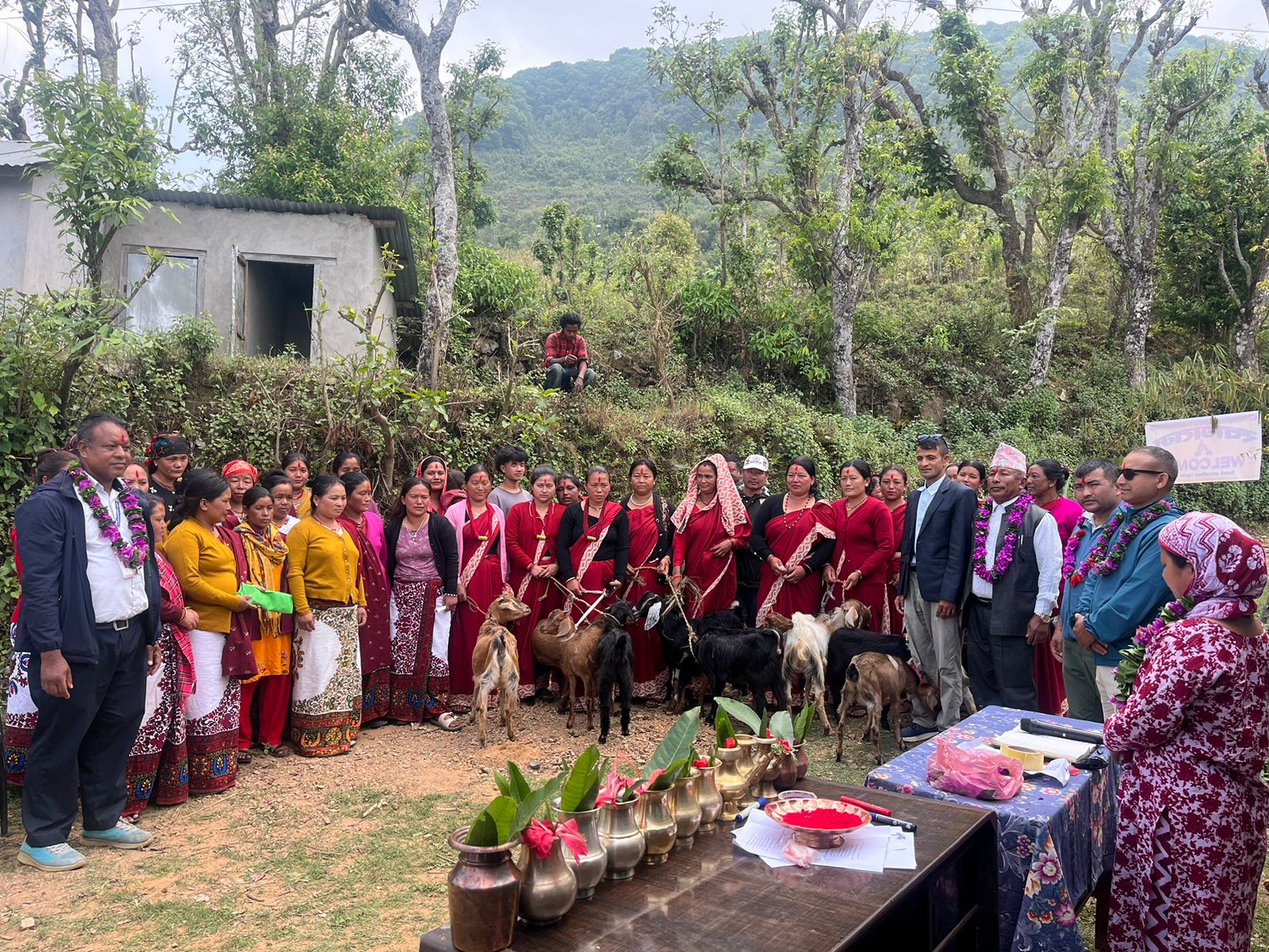 दिदि समुहले दिए बहिनी समुहलाई बाख्रा उपहार