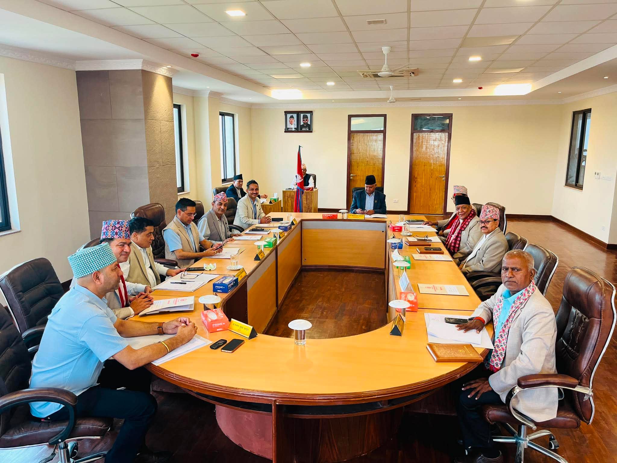 लुम्बिनी मन्त्रिपरिषद् बैठकः स्वास्थ्य मन्त्री घिमिरे सरकारको प्रवक्ता नियुक्त