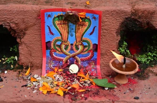 आज श्रावण शुक्ल पञ्चमीः नागको पूजा, आराधना गरी नागपञ्चमी पर्व मनाइँदै